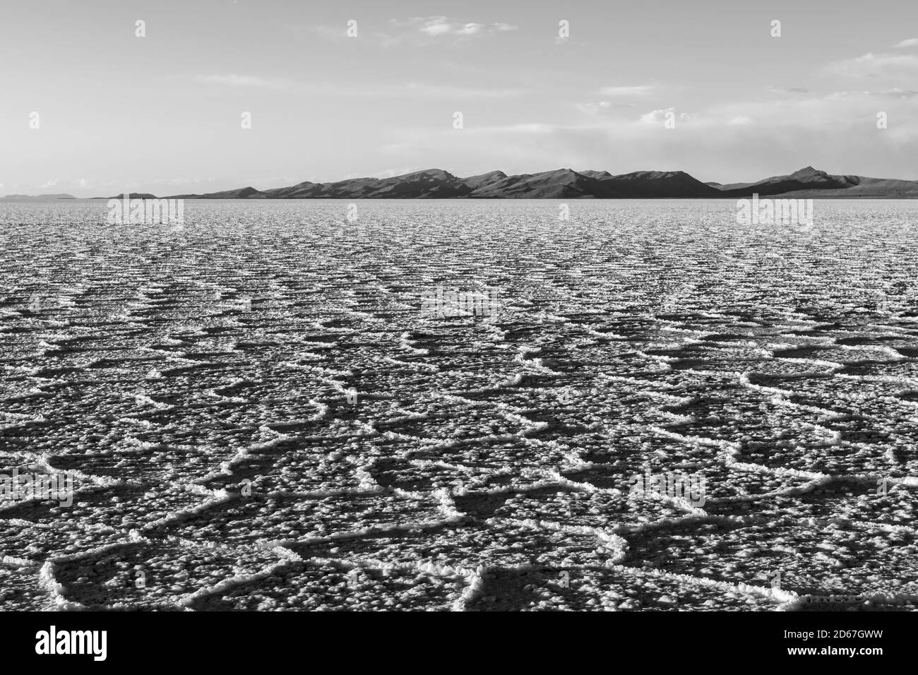 Désert plat de sel d'Uyuni avec des formations de sel hexagonales en noir et blanc, Bolivie. Banque D'Images