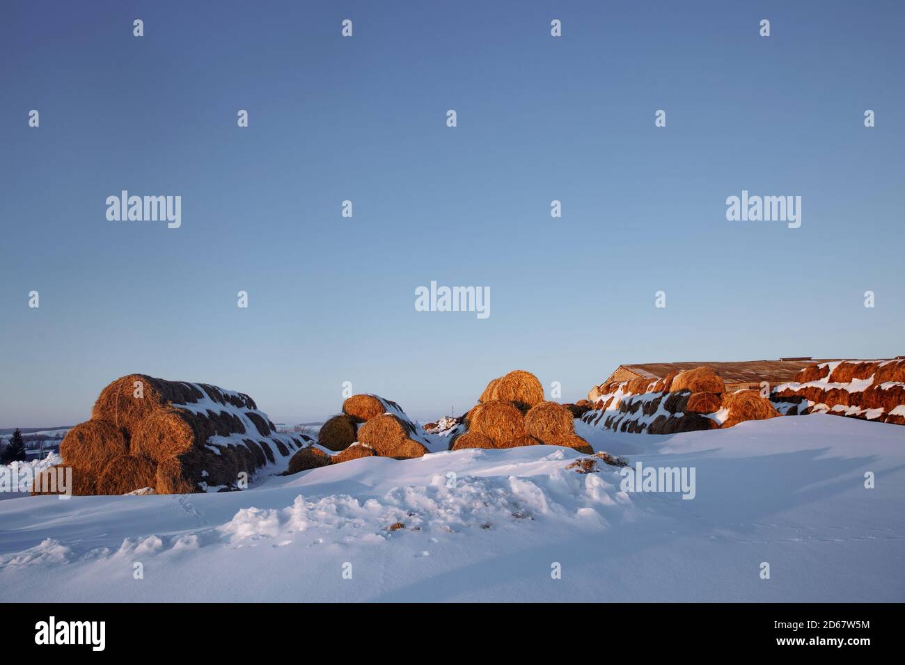 Les balles de foin sont empilées et recouvertes de neige. Banque D'Images