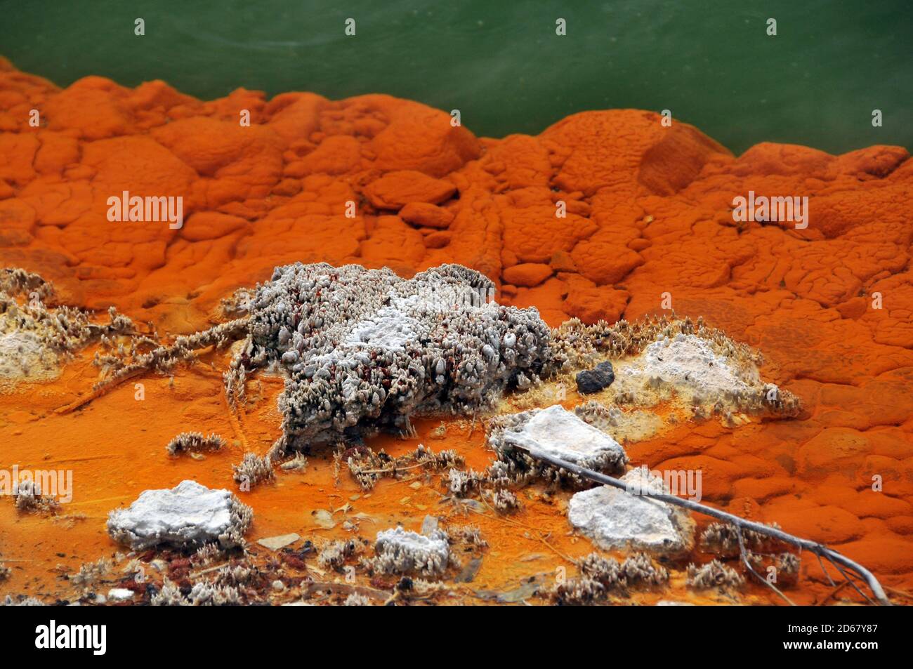 Les bactéries thermophiles vivent dans la piscine de Champagne, Waiotapu Thermal Wonderland, Rotorua, île du Nord, Nouvelle-Zélande Banque D'Images