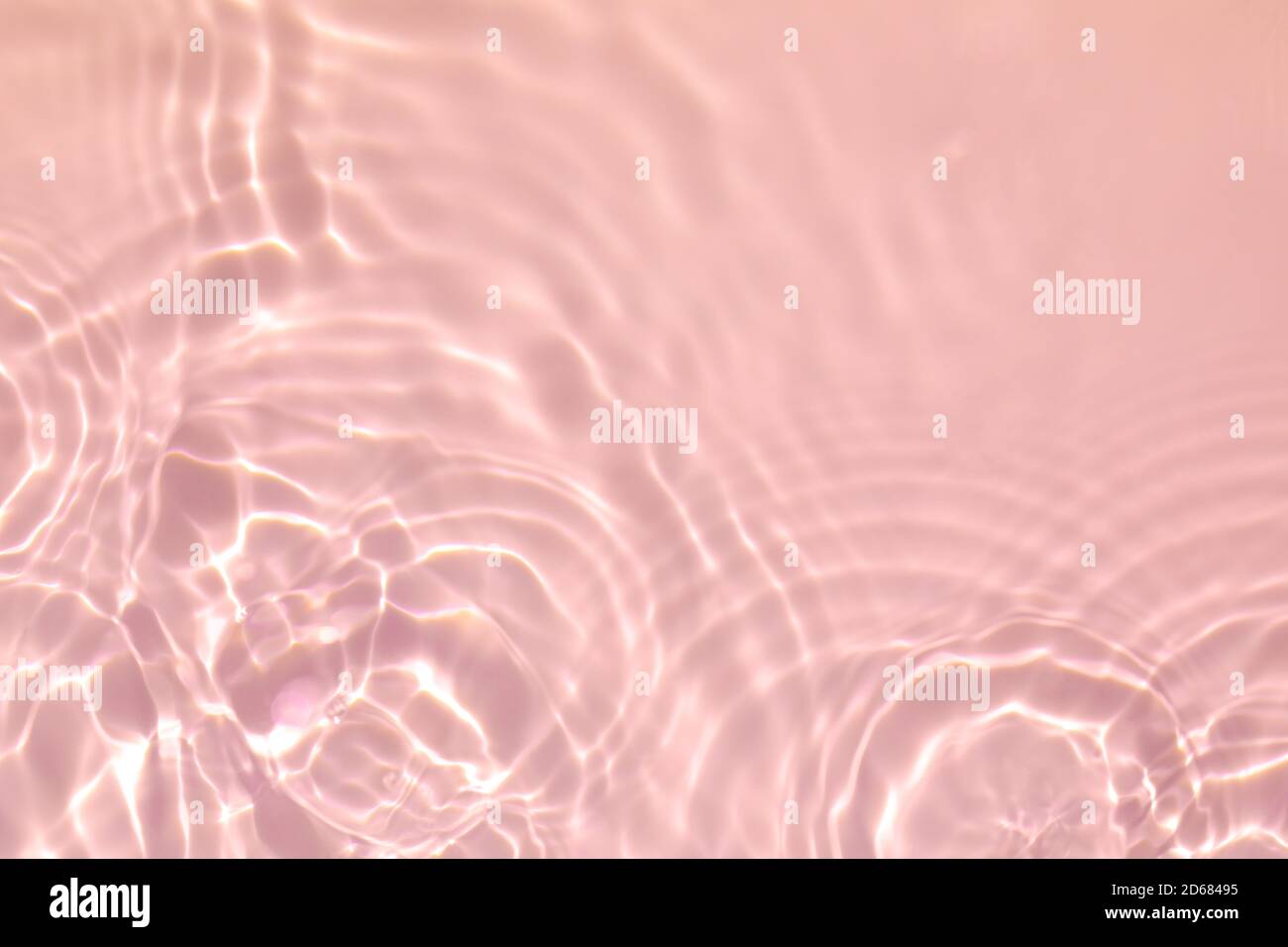 rose transparent eau transparente texture de surface été fond Banque D'Images