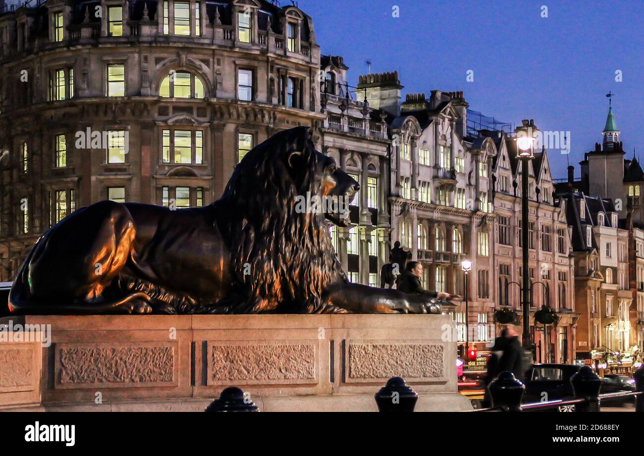 Statue du lion à Trafalgar Square dans la soirée. Londres, Royaume-Uni. Banque D'Images