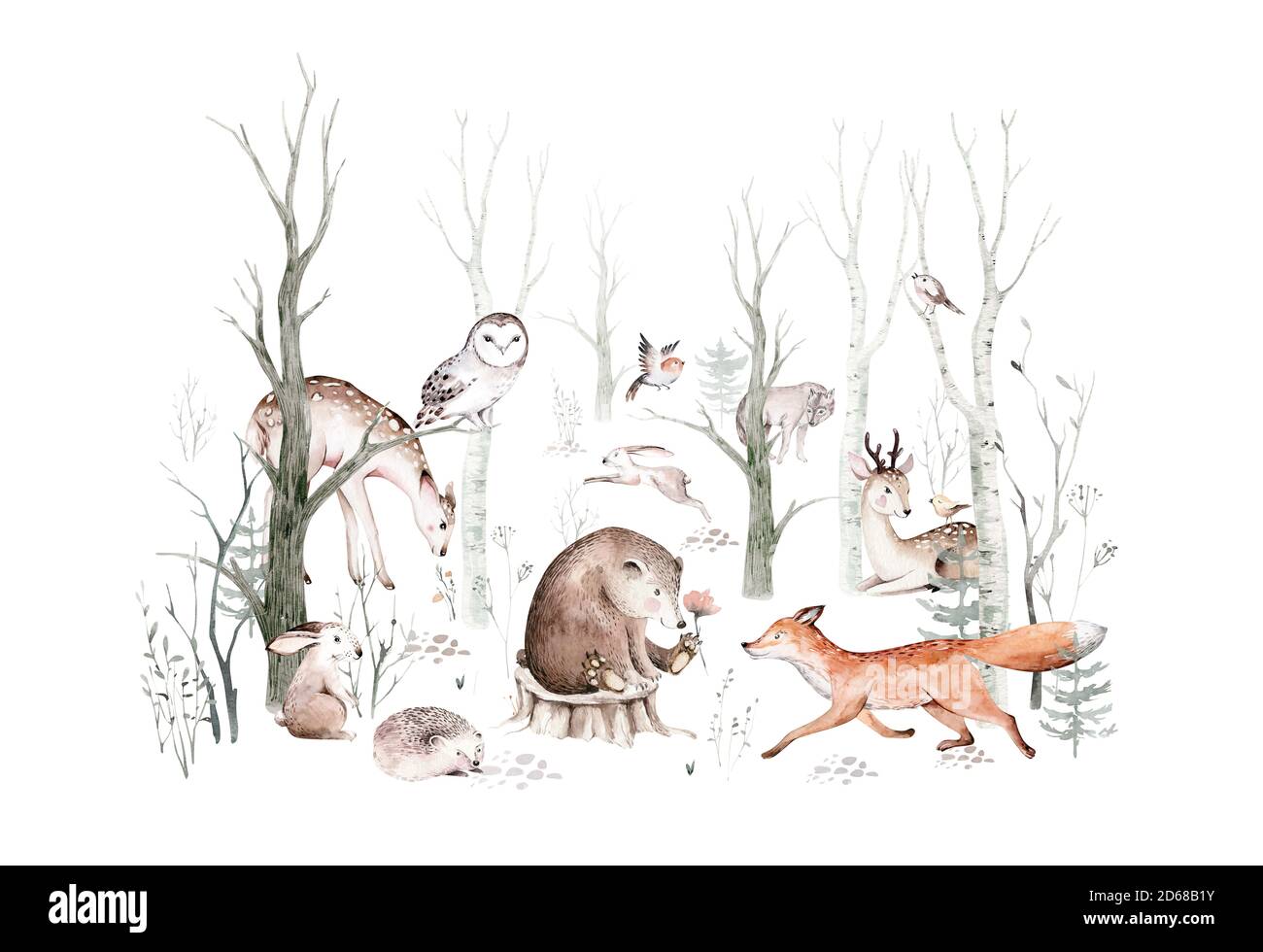 Ensemble animaux des bois. Hibou, hérisson, renard et papillon, lapin Bunny ensemble d'écureuil forestier et de chipmunk, ours et oiseau bébé animal, scandinave Banque D'Images