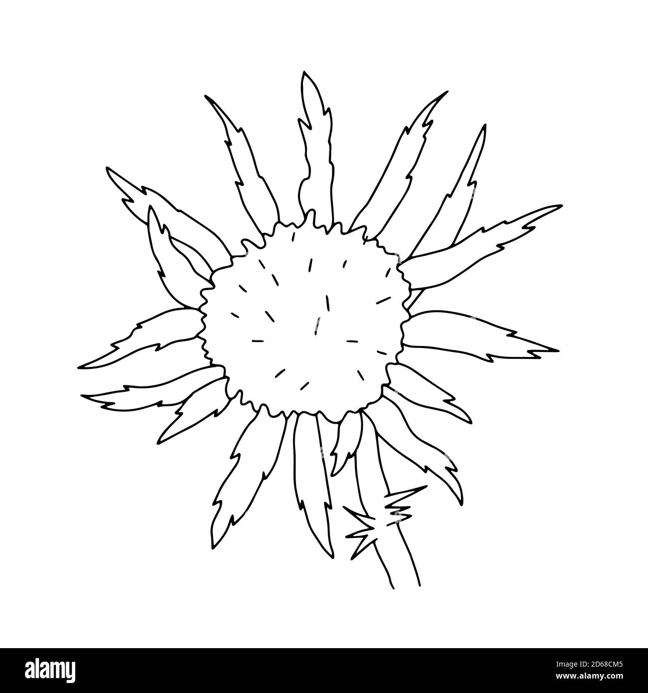 Chardon de lait vecteur fleur sauvage illustration du contour, simple image botanique dans le style dessiné à la main, symbole de l'Écosse Illustration de Vecteur