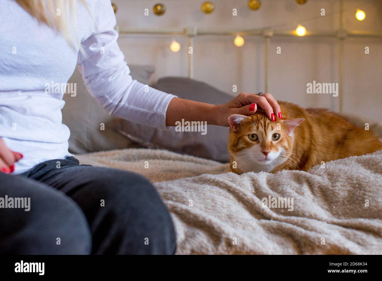 Un chat gros et gras au gingembre est assis sur une couverture blanche et douce sur le lit. Il y a des lumières bokeh en arrière-plan. Chambre confortable. Vue sur l'automne ou l'hiver. Banque D'Images