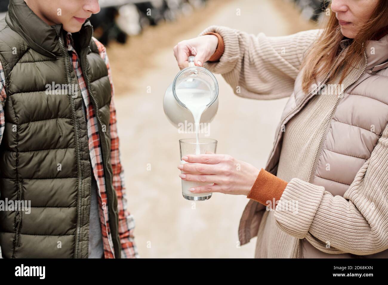 Gros plan de la femme dans le gilet en versant du lait frais du pichet au fils après avoir laité la vache à la ferme Banque D'Images