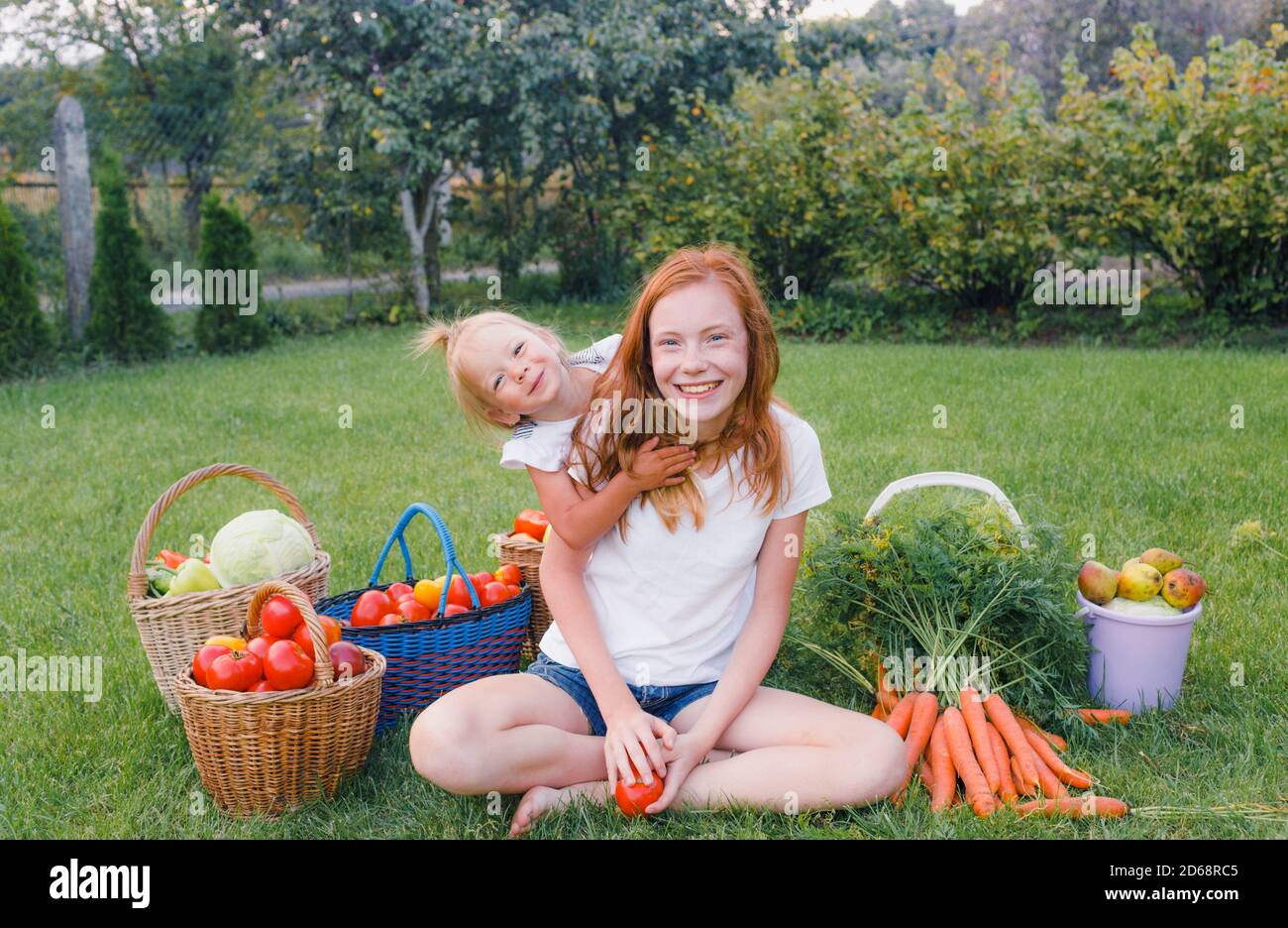 filles blonde cheveux maurly jumeaux 3 ans en blanc les robes rient ensemble dans un champ avec des tournesols dans le été Banque D'Images