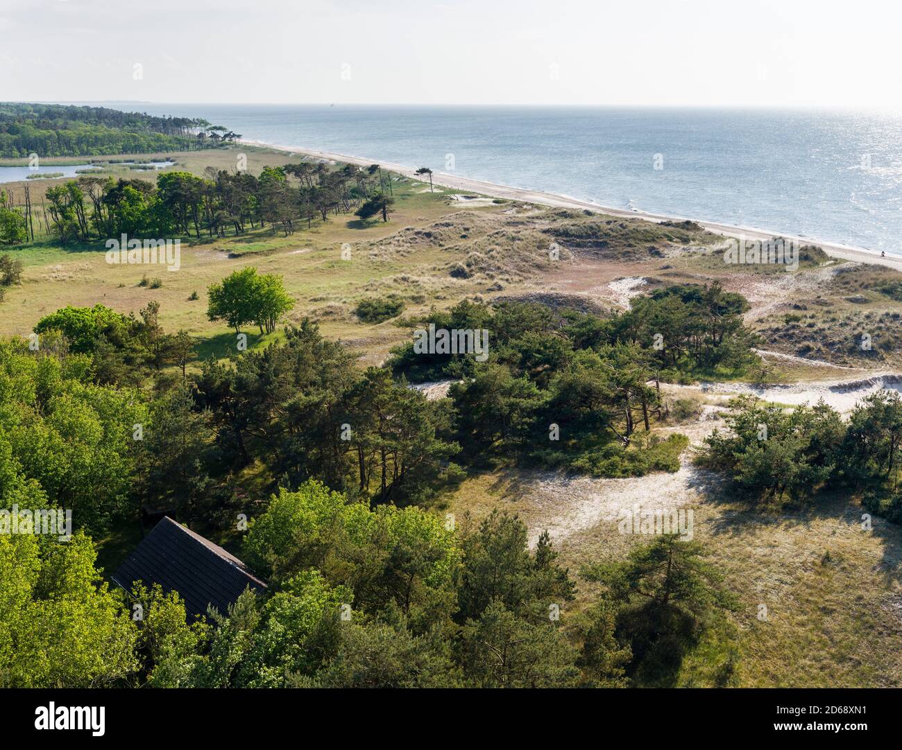 Paysage à Darsser Ort sur la péninsule de Darss. Western Pomerania Lagune NP.L'Europe, l'Allemagne, l'West-Pomerania, juin Banque D'Images