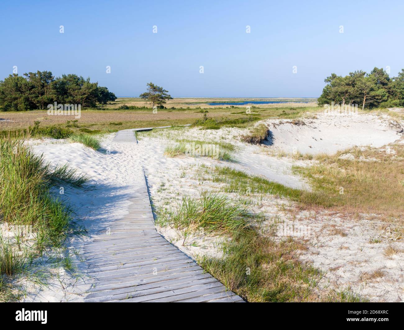 Paysage avec des dunes côtières à Darsser Ort sur la péninsule de Darss. Western Pomerania Lagune NP.L'Europe, l'Allemagne, l'West-Pomerania, juin Banque D'Images