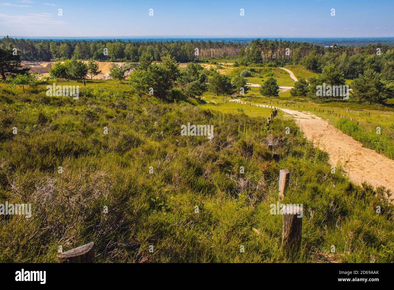 Parc naturel de Wistinghauser Senne près d'Oerlinghausen. C'est une zone de conservation de la nature située dans la forêt de Teutoburg, Rhénanie du Nord Westphalie, Allemagne Banque D'Images