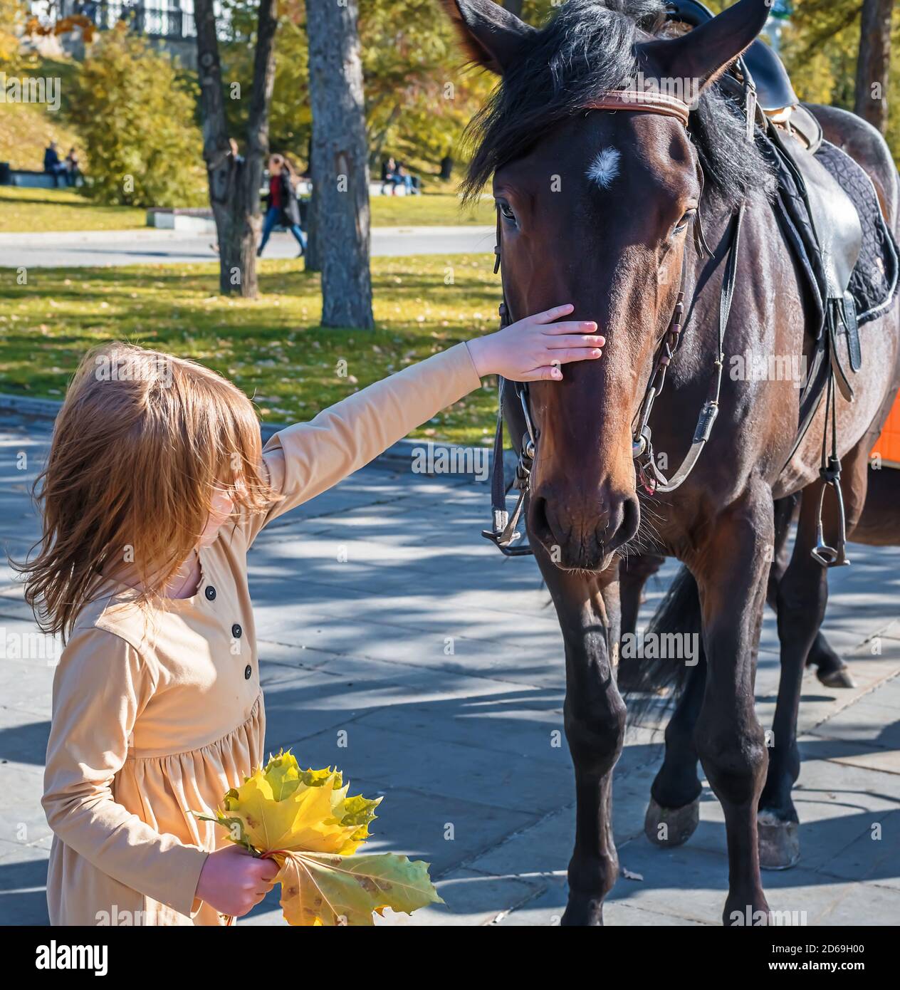 Jolie fille coups de beau cheval dans le parc Banque D'Images