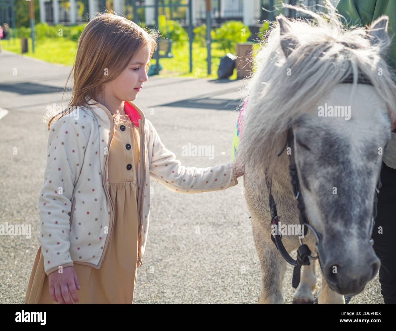 Jolie fille coups de poney blanc dans le parc Banque D'Images