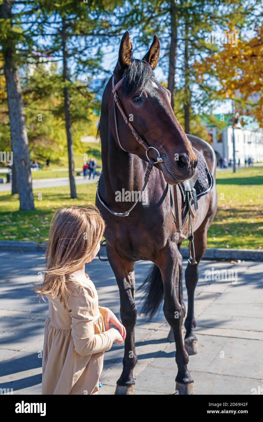 Petite fille se tient à côté d'un cheval Banque D'Images