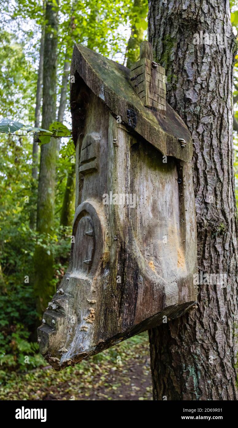 Maison d'oiseaux sculptée inhabituelle (avec ver à bois) sur un tronc d'arbre dans l'arboretum de Winkworth près de Godalming, Surrey, au sud-est de l'Angleterre, en automne Banque D'Images