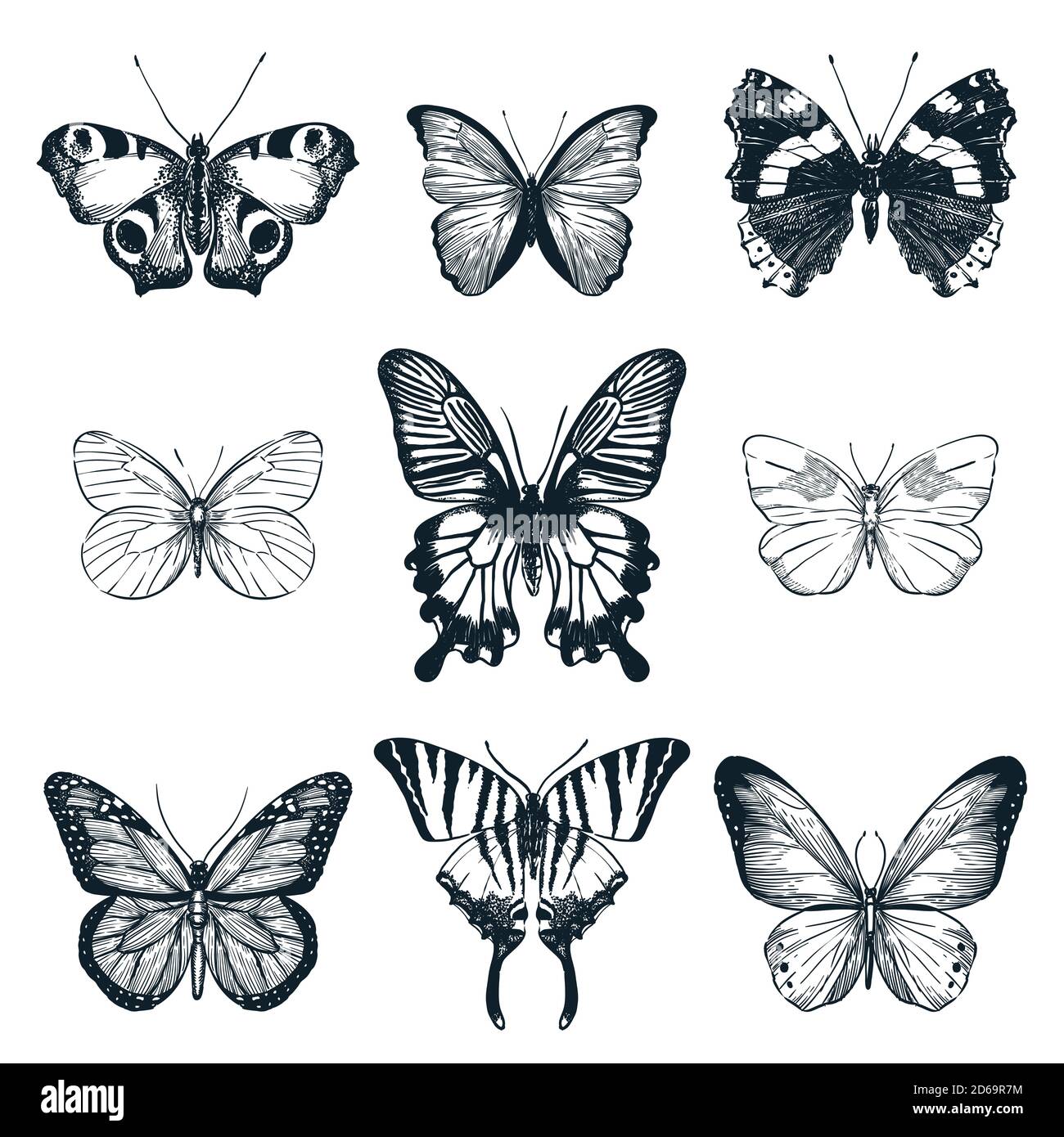 Ensemble papillons. Illustration d'esquisse vectorielle dessinée à la main. Collection créative d'insectes d'été ou de printemps isolée sur fond blanc. Illustration de Vecteur