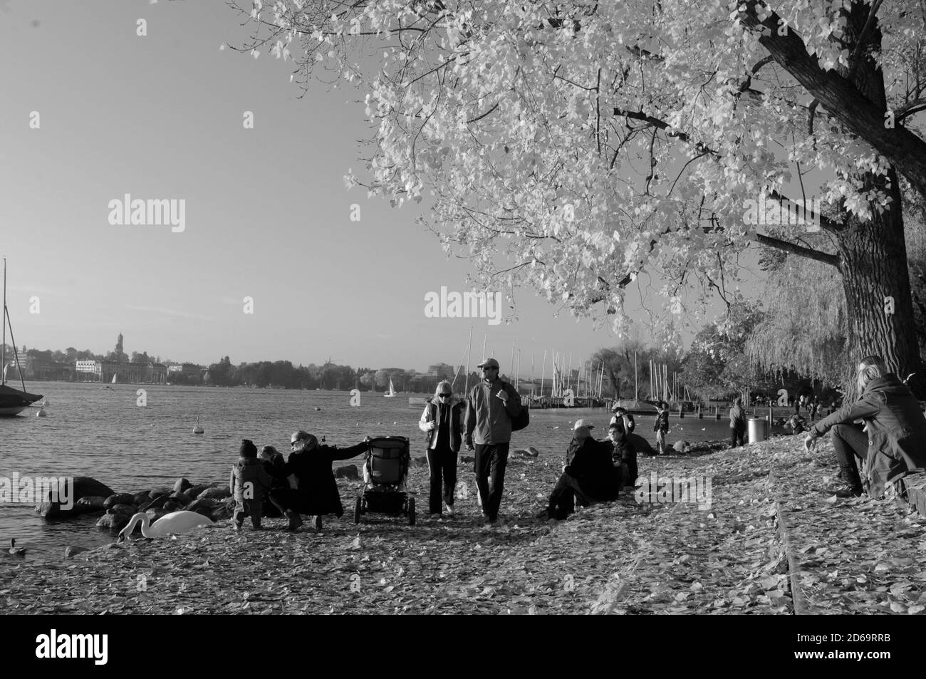 Suisse : les personnes bénéficiant de couleurs d'automne au lac de Zürich à Seefeld Banque D'Images