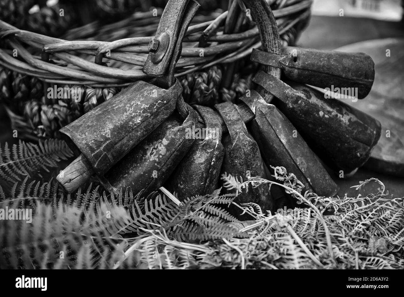 Old rusty cloches pour les vaches, détail de l'objet pour les bovins Banque D'Images