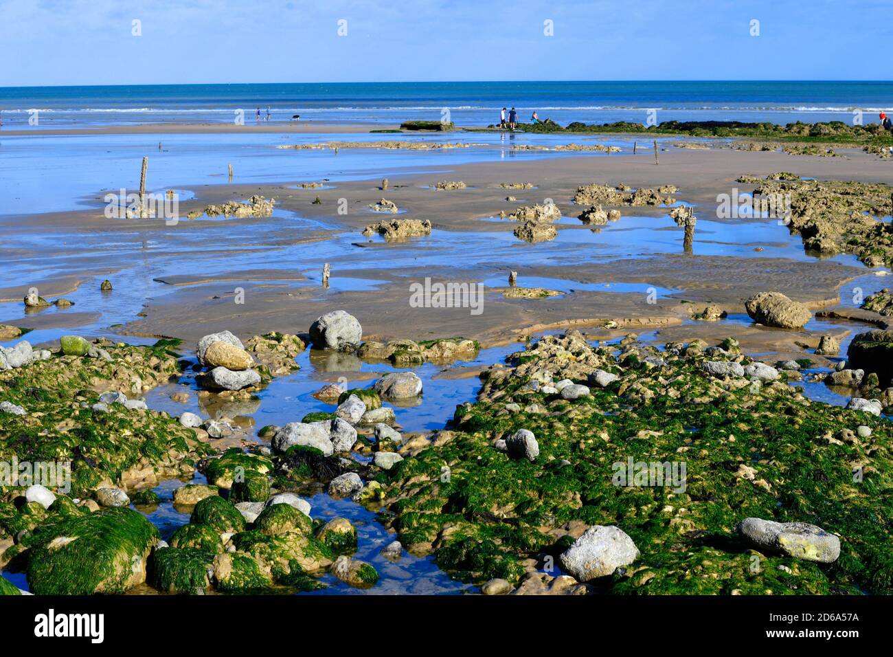 Saweed à marée basse sur la plage rocheuse de Dieppe, Normandie, France  Photo Stock - Alamy