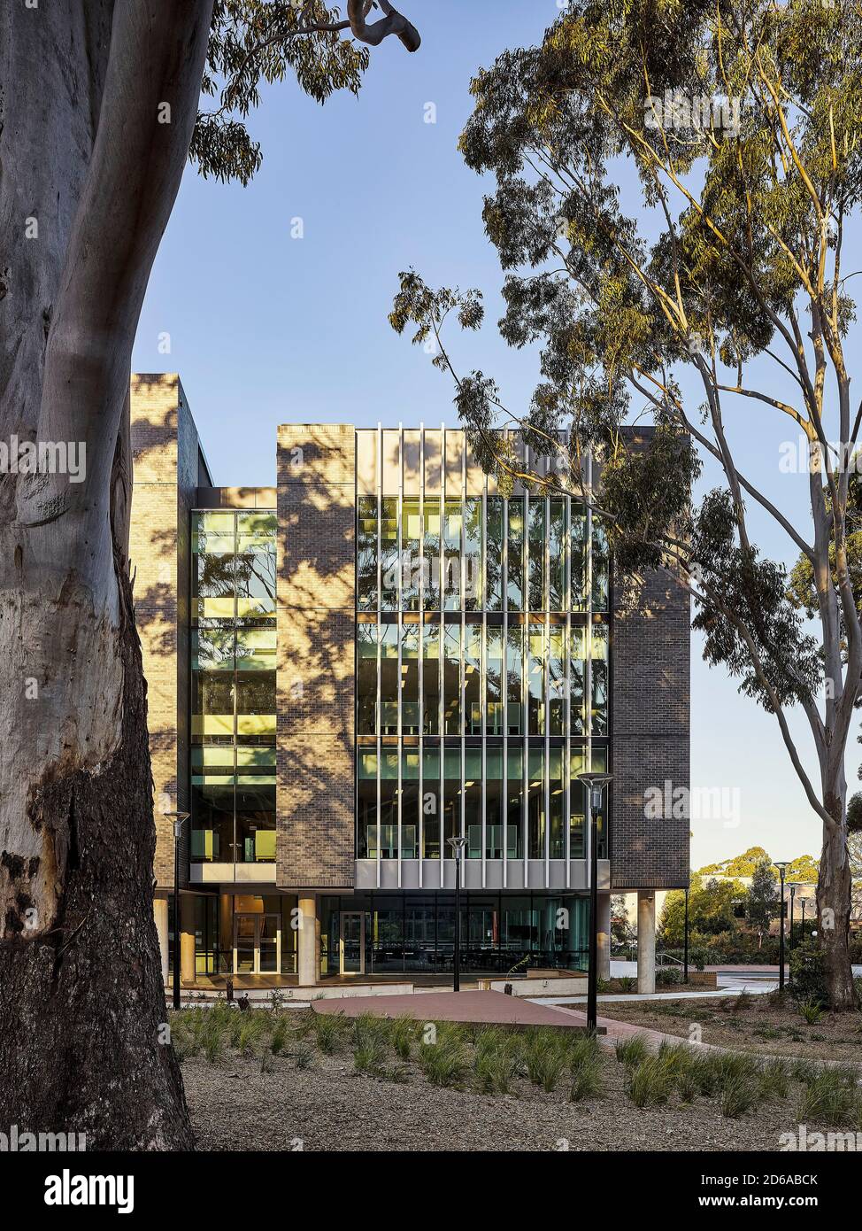 Section d'élévation ouest. University of Wollongong Western Building, Wollongong, Australie. Architecte: HASSELL, 2020. Banque D'Images