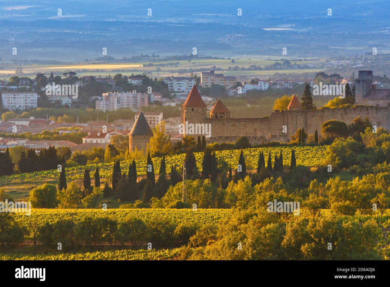 Carcassonne, Languedoc-Roussillon, France. Murs de la Cité vus à travers les vignobles. La Cité de Carcassonne est un site classé au patrimoine mondial de l'UNESCO. Banque D'Images