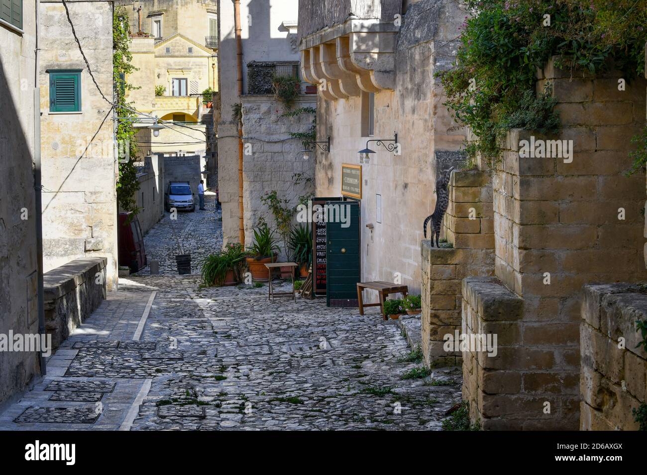 Un chat tabby d'argent commence son saut à une corniche sur une rue pavée dans l'ancienne ville de sassi de Matera, Italie. Banque D'Images
