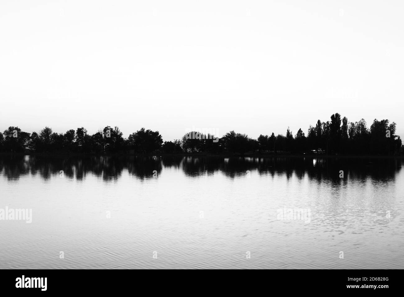 Fantastique photo en niveaux de gris d'une petite île avec des arbres qui réfléchit sur un lac calme et tranquille Banque D'Images
