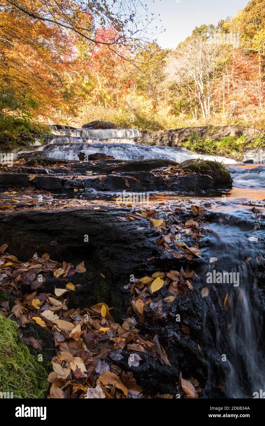 Le feuillage de l'automne de pointe entoure de magnifiques chutes Shohola en cascade sur un Matin d'automne dans le portrait de Poconos de Pennsylvanie Banque D'Images