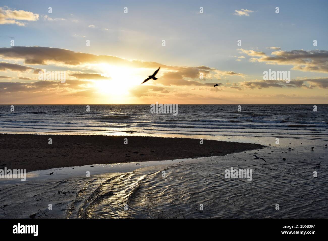 Coucher de soleil sur la mer d'Irlande, tel qu'illustré sur la promenade de Blackpool dans le Lancashire, Angleterre. Les mouettes reposent dans l'eau peu profonde et on vole à travers le soleil Banque D'Images