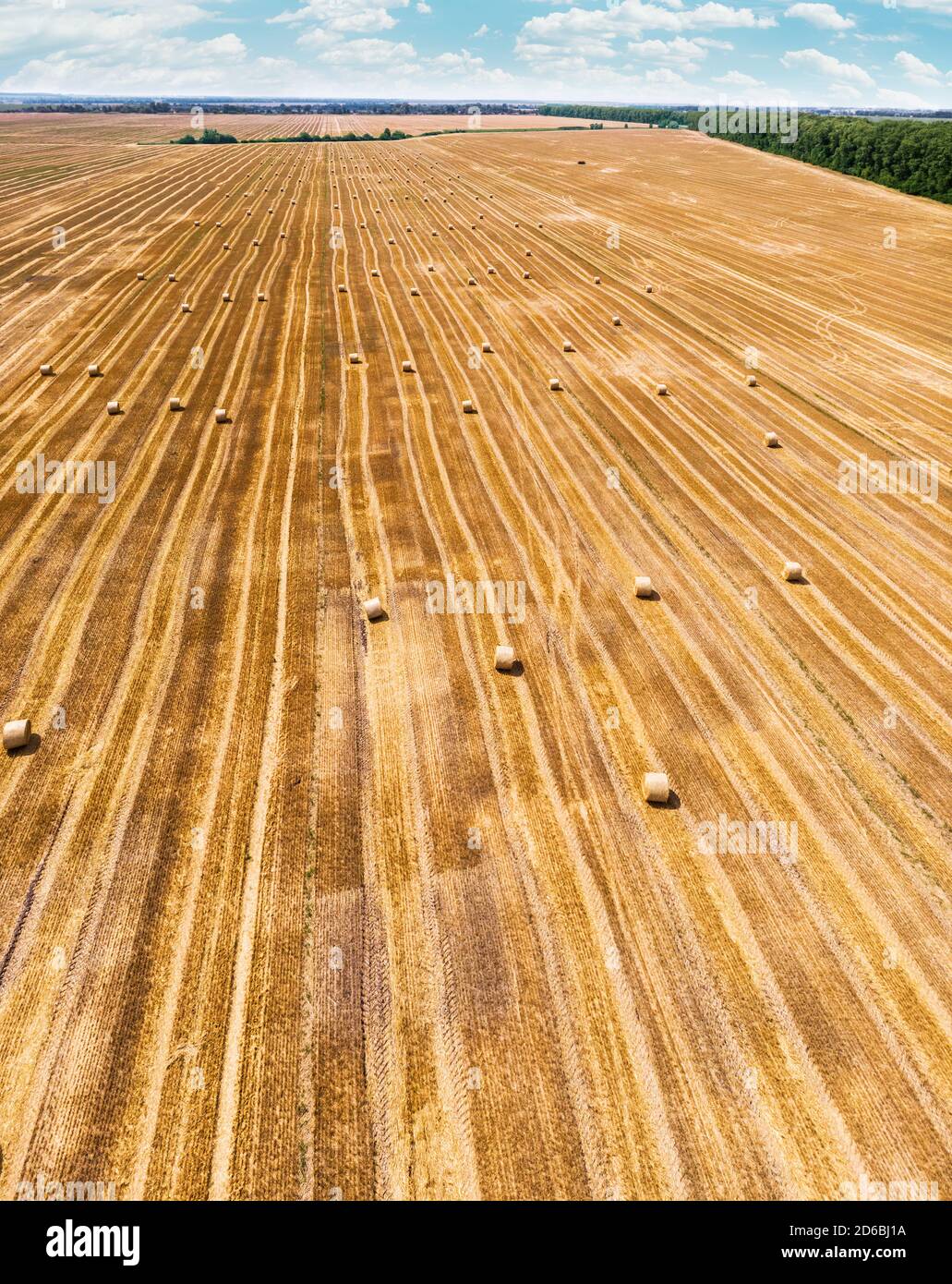 Vue aérienne du champ de blé récolté. Des botte de foin se sont posé sur le champ agricole. Photo prise sur drone. Banque D'Images