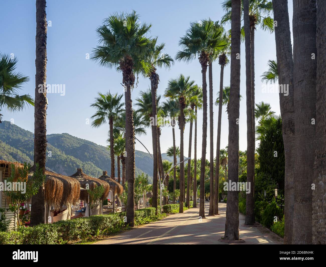 Promenade le long de la côte avec des palmiers dans la ville de Marmaris, en Turquie. Sentier de randonnée avec des palmiers le long de la mer. Banque D'Images