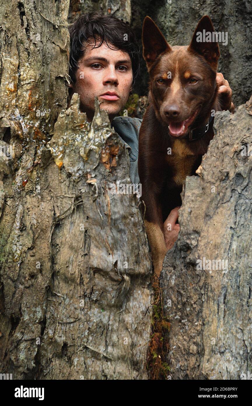 Love And Monsters 2 Date De Sortie DATE DE SORTIE: 16 octobre 2020 TITRE: Love and Monsters STUDIO: Paramount  Pictures DIRECTOR: Michael Matthews PLOT: Dans un monde infesté de  monstres, Joel (Dylan O'Brien) apprend que sa petite amie est