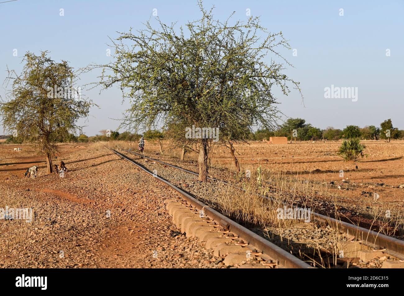 BURKINA FASO, Kaya, ligne de chemin de fer abandonnée vers les mines de manganèse de Tambao, construite pendant l'heure de Thomas Sankara / BURKINA FASO, Kaya, von Sankara gebaute Eisenbahnlinie zu den Mangan Lagerstätten in Tambao, Eisenbahnstrecke schon seit Jahren ausser Betrieb, Symbol für Infrastletricktgestlegung und Enträtte für Austricktletrieb Banque D'Images