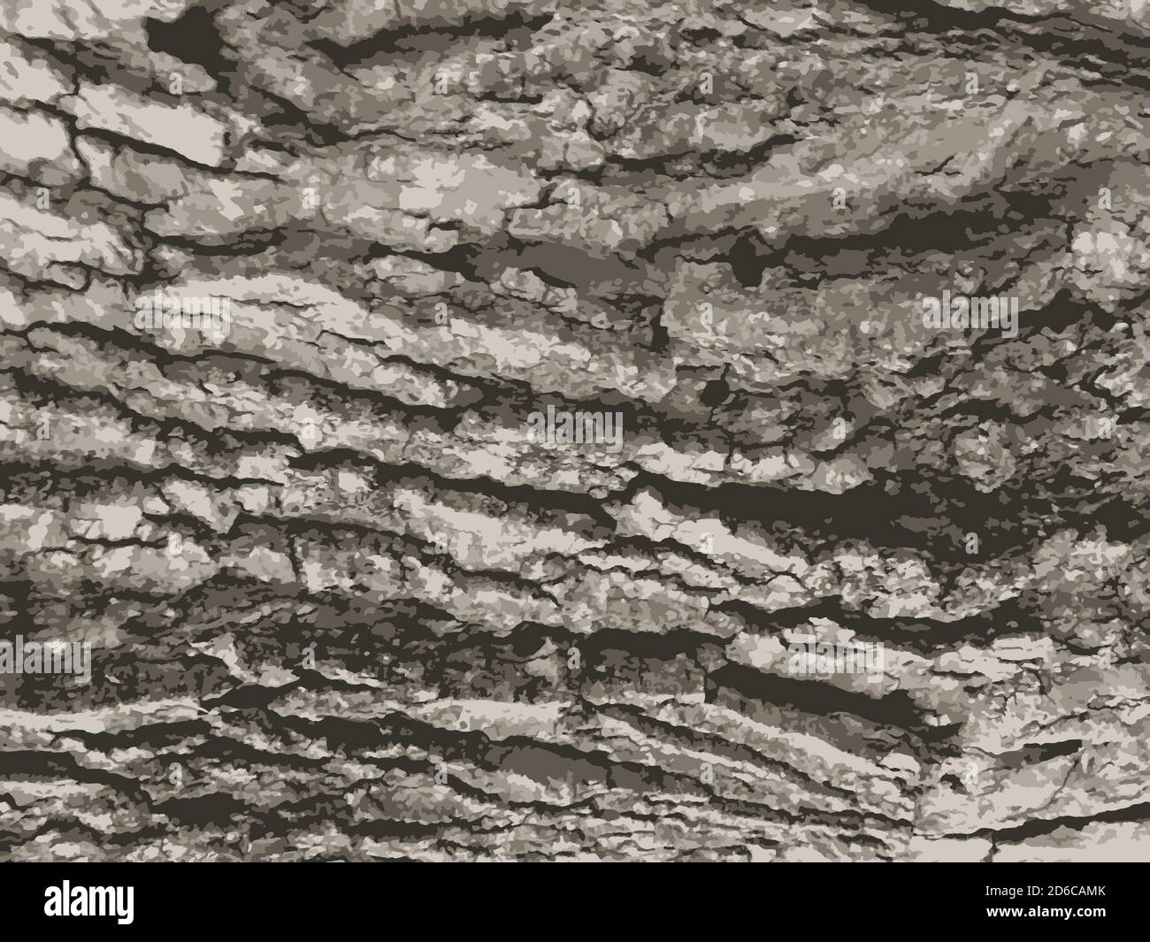 Texture de l'écorce de l'arbre. Arrière-plan en bois. Illustration vectorielle Illustration de Vecteur