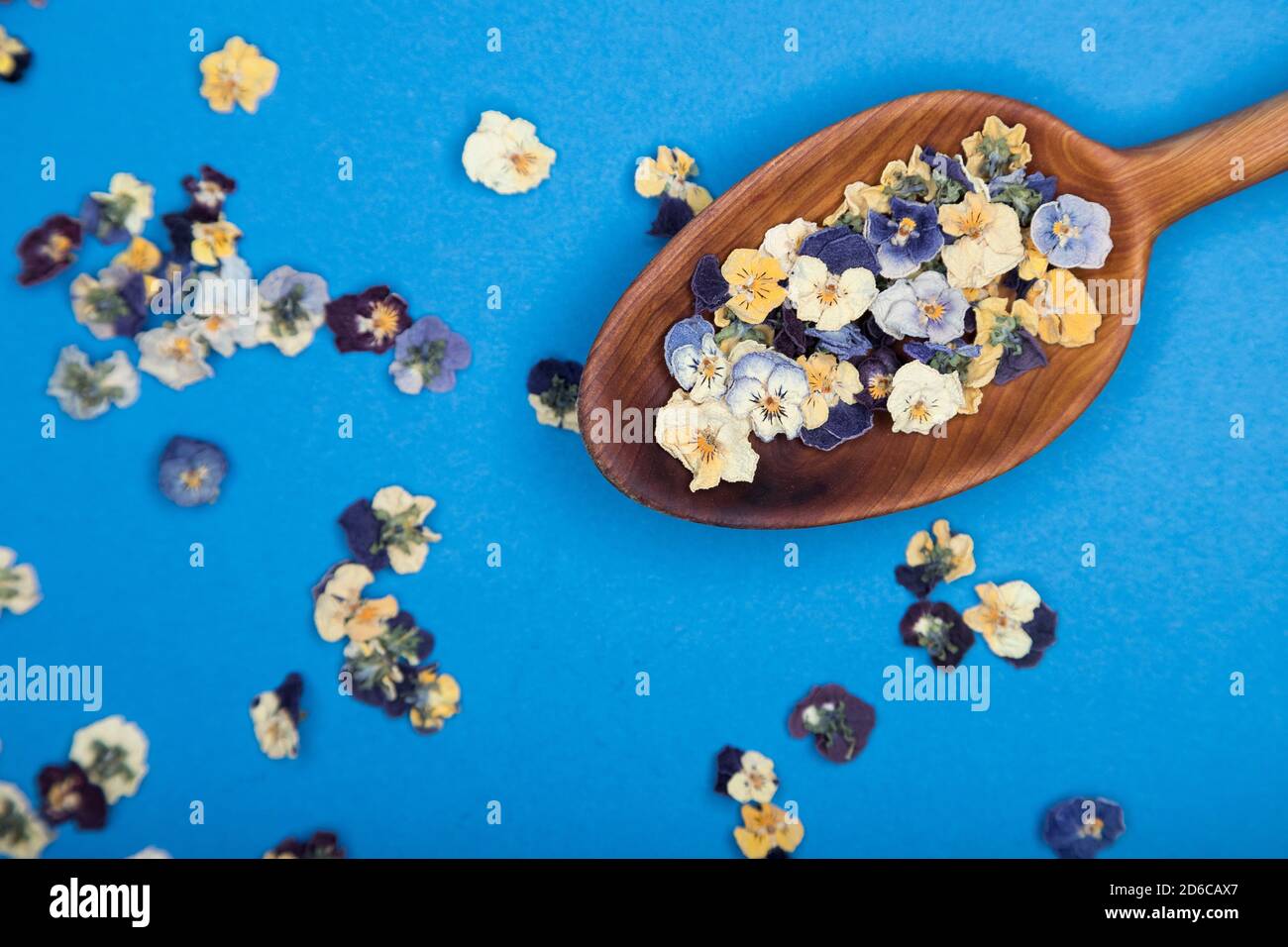 Vue de dessus d'une cuillère en bois avec des fleurs comestibles sur fond bleu. Mise au point sélective Banque D'Images