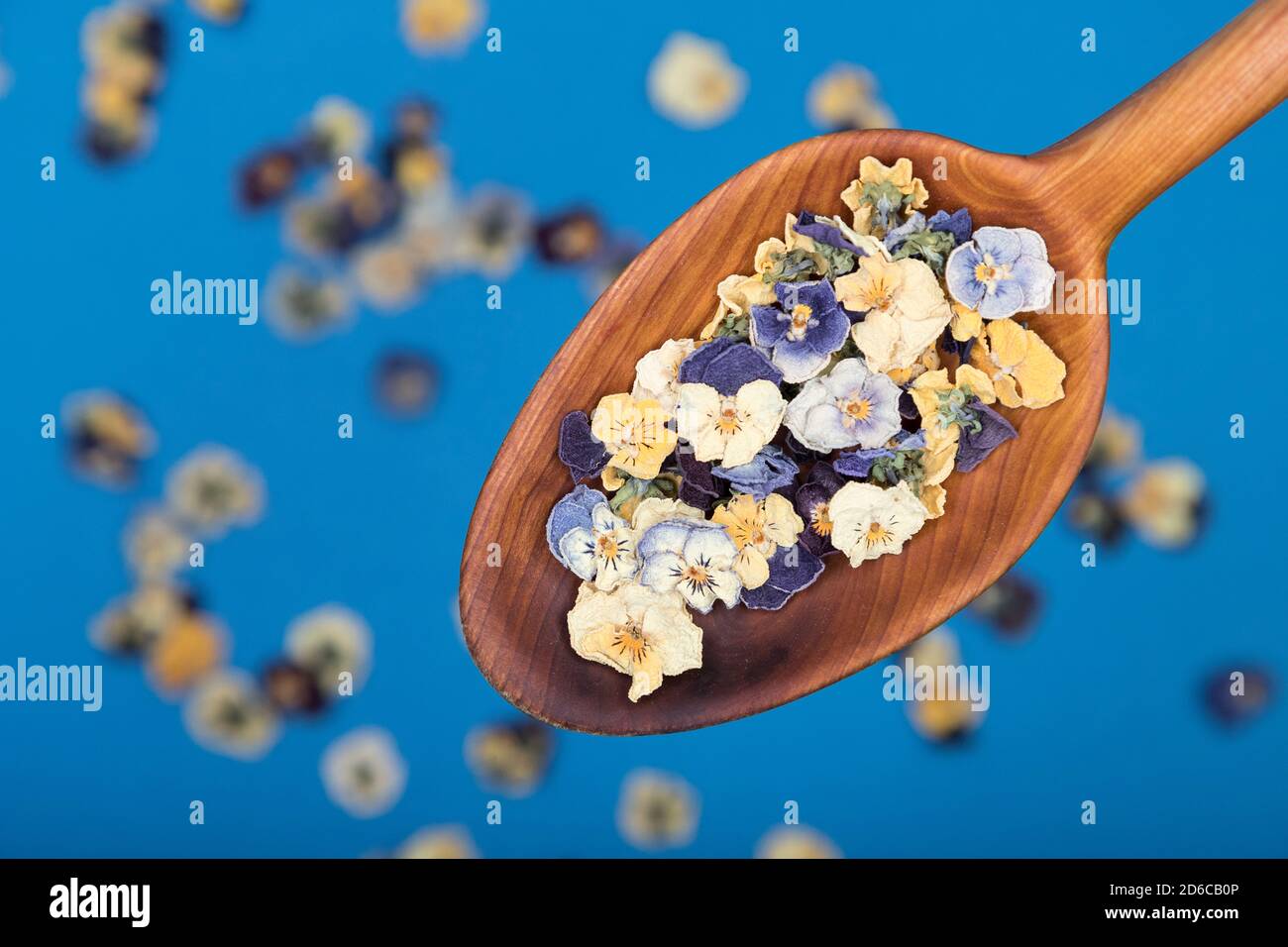 Vue de dessus d'une cuillère en bois avec des fleurs comestibles sur fond bleu. Mise au point sélective Banque D'Images