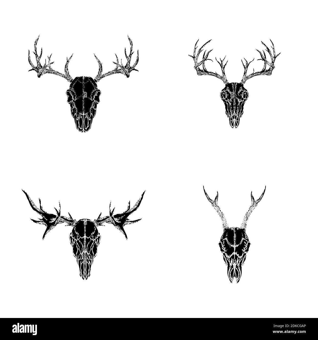 Ensemble vectoriel de crânes dessinés à la main d'animaux cornés : cerf de virginie, cerf de Virginie et orignal sur fond blanc. Silhouettes noires. Pour le dessin, l'impression, le tatouage ou m Illustration de Vecteur Ensemble vectoriel de crânes dessinés à la main d'animaux cornés : cerf de virginie, cerf de Virginie et orignal sur fond blanc. Silhouettes noires. Pour le dessin, l'impression, le tatouage ou m Illustration de Vecteur