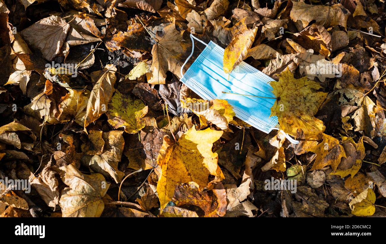 vue panoramique du masque sanitaire jeté dans la litière de feuilles le jour d'automne ensoleillé Banque D'Images