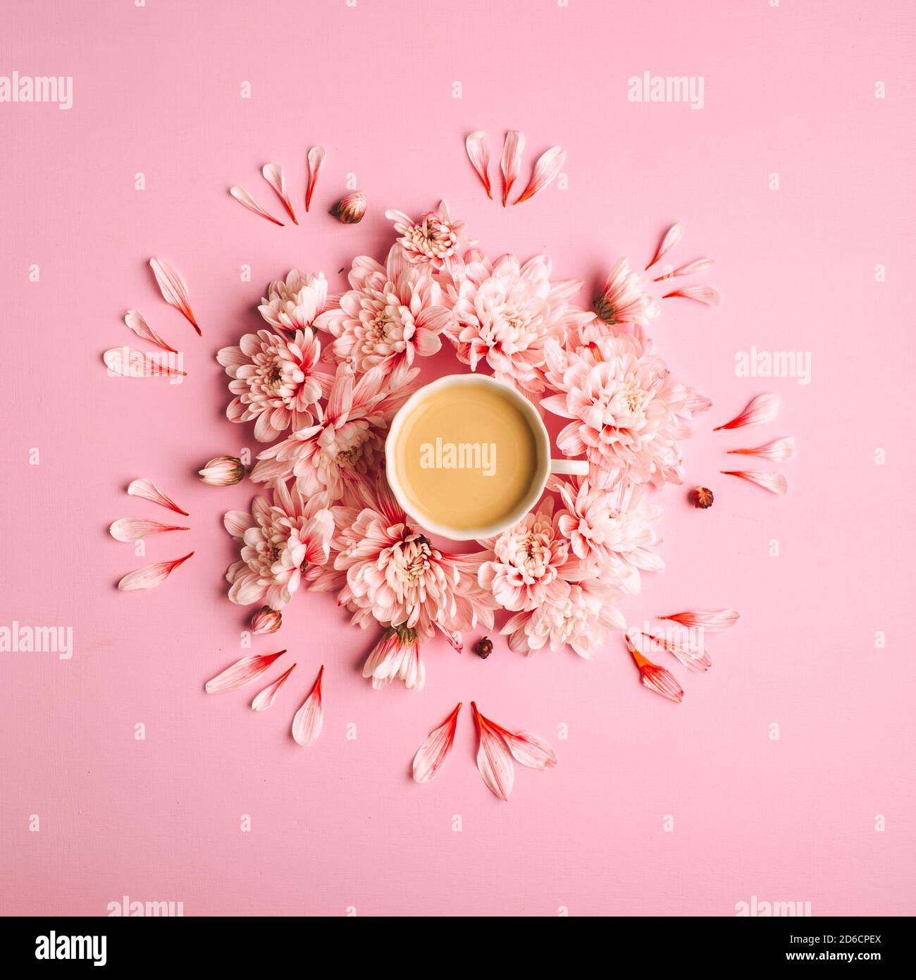 Photo de la vie de café avec du lait dans une tasse avec des fleurs de chrysanthème autour d'elle. Banque D'Images