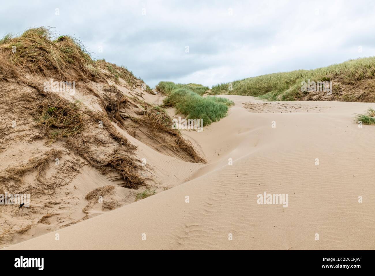 Dunes de sable qui s'enragent dans la forêt de Newborough, Newborough warren, Anglesey, pays de Galles, Royaume-Uni Banque D'Images