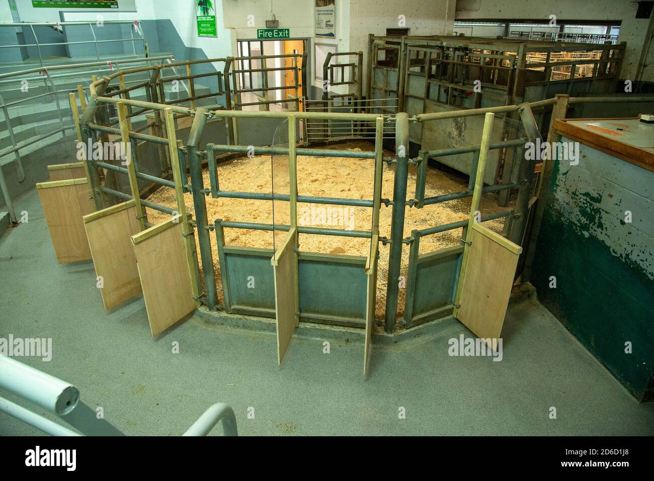 Précautions Caronavirus sur un marché de l'élevage, pays de Galles. ROYAUME-UNI Banque D'Images