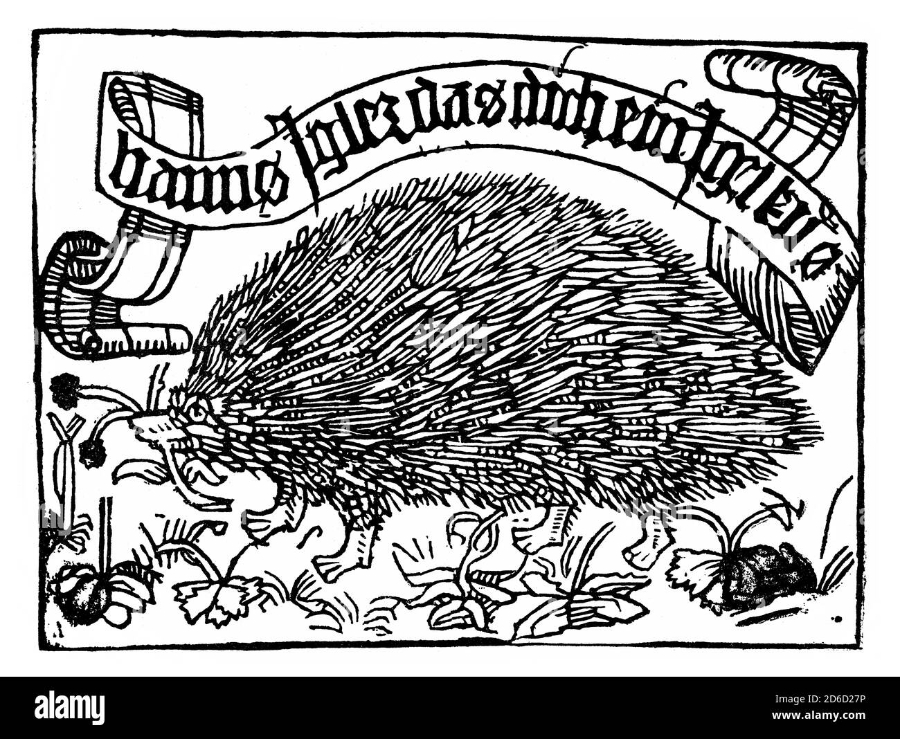 Bibliothèque de Johannes Knabensperg, appelée Igler, gravure sur bois, 1450 Banque D'Images