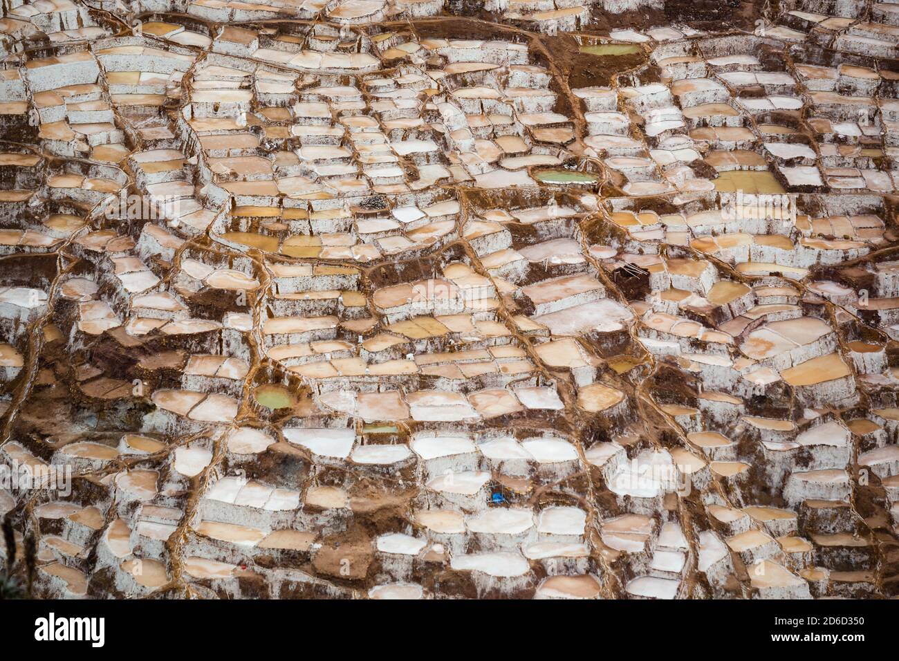 Salinas de Maras, près de Cuzco, Perù Banque D'Images