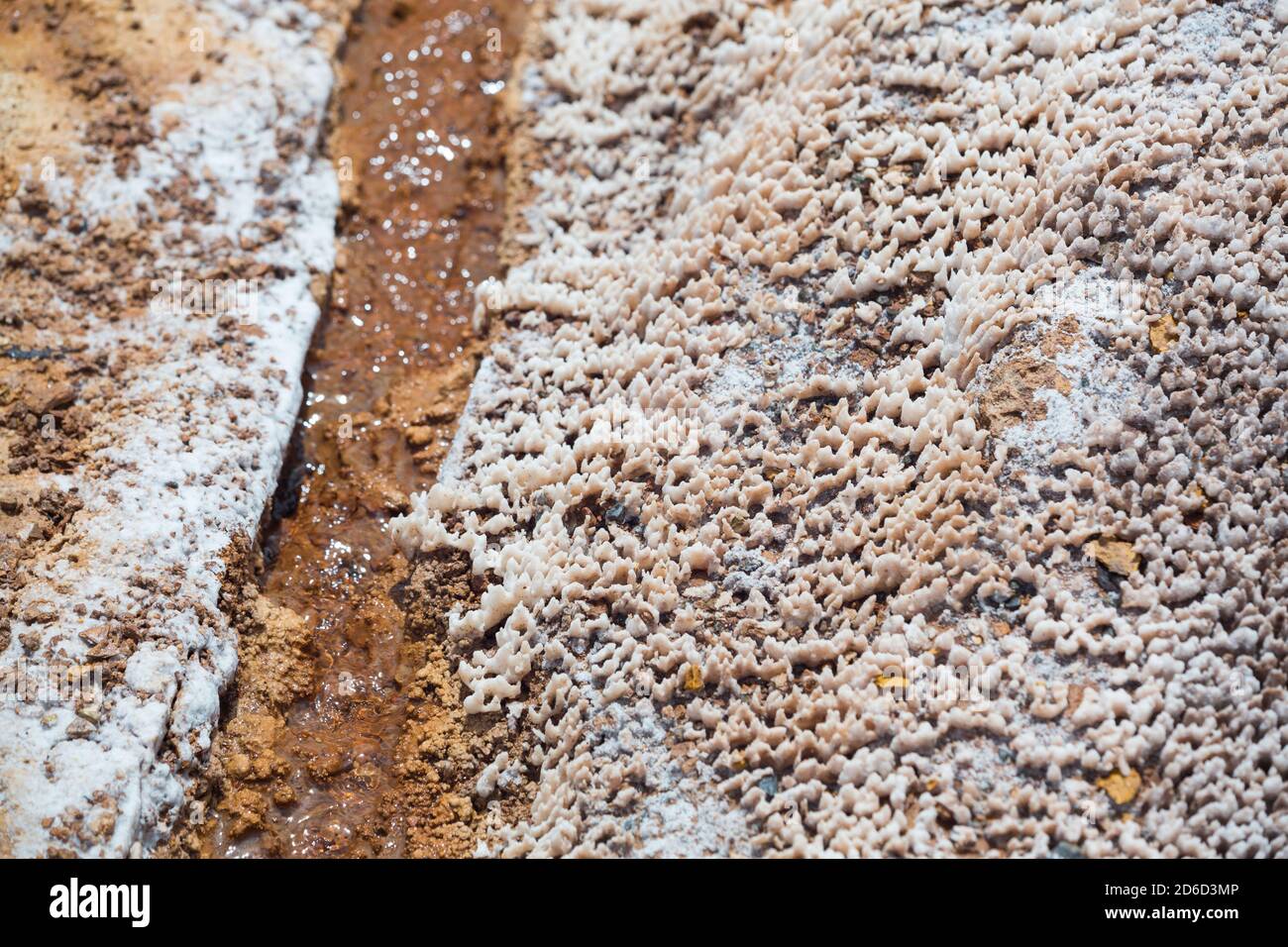 Salinas de Maras, près de Cuzco, Perù Banque D'Images