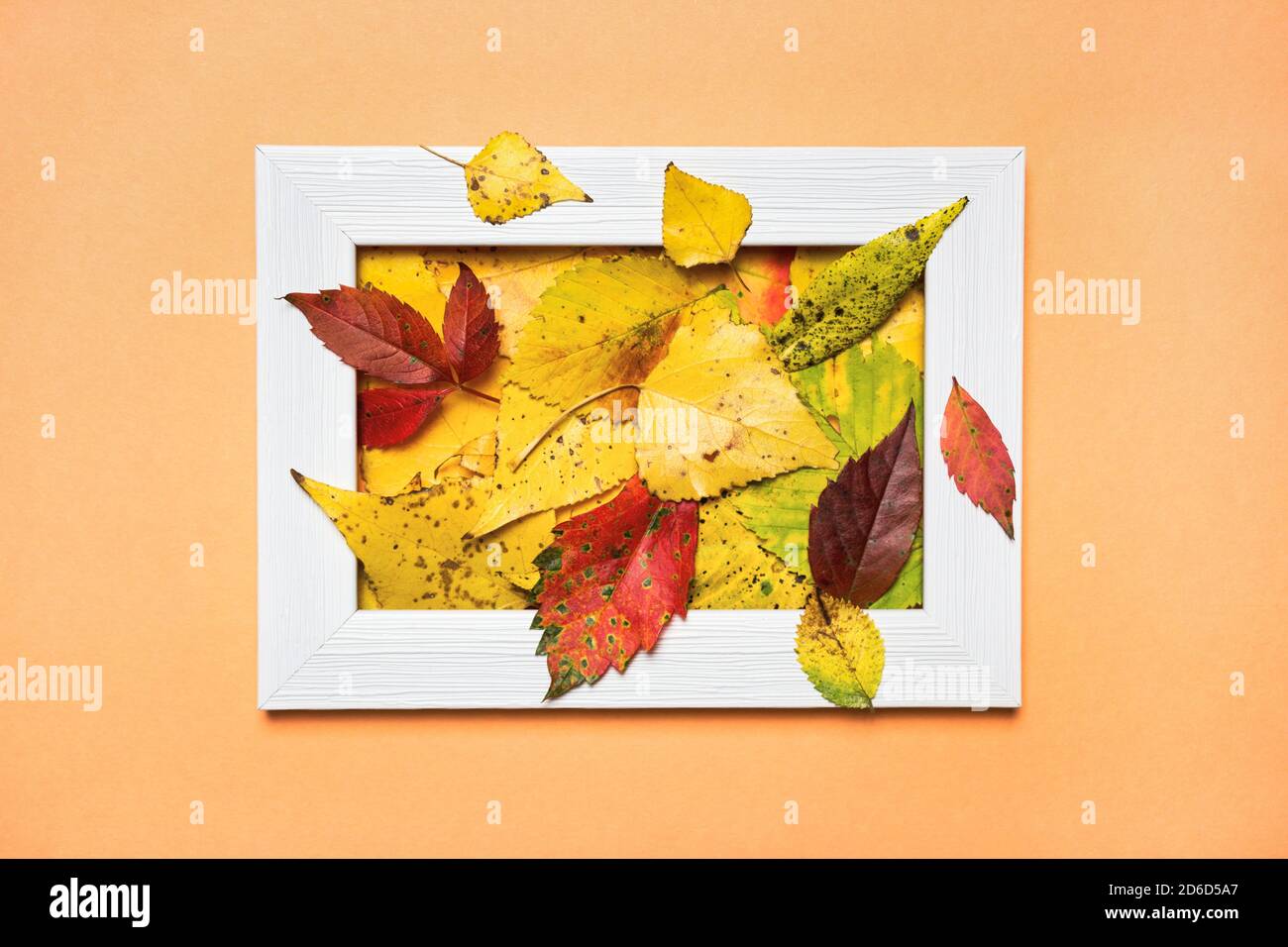 Mise en page créative composée de feuilles d'automne colorées et d'un cadre photo vide. Pose à plat. Concept de la nature. Banque D'Images