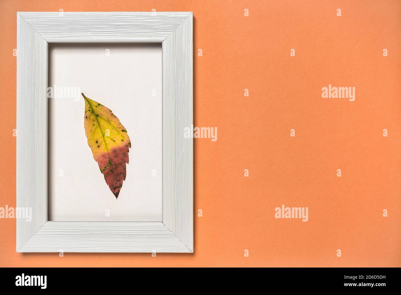 Composition minimale de l'automne. Cadre photo en bois blanc avec feuille de couleur tombée sur fond orange. Flat lay, espace de copie. Concept de la nature. Banque D'Images