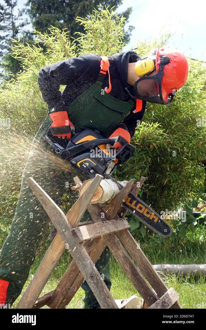 06.06.2020, Neuenhagen, Brandebourg, Allemagne - Jeune homme sciant un tronc d'arbre avec une scie circulaire dans un jardin d'allotement. 00S200606D500CAROEX.JPG [M Banque D'Images