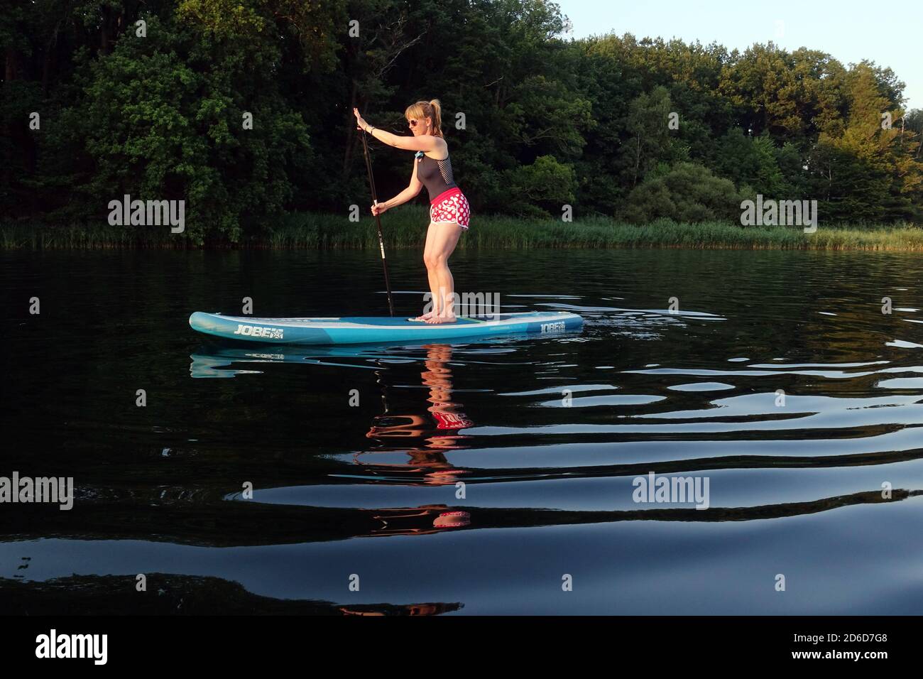 Paddle board homme faisant paddleboard debout sur l'océan. Paddleboard  d'athlète sur le panneau de surf SUP lors d'un voyage à Hawaï sur la plage.  Gros plan des jambes debout à bord Photo