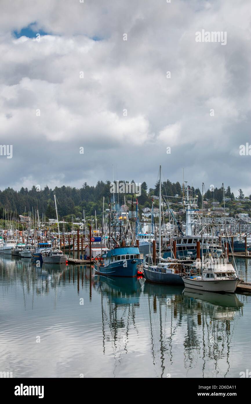 Yachts et bateaux de pêche dans une marina de Yaquina Bay à Newport, Oregon Banque D'Images