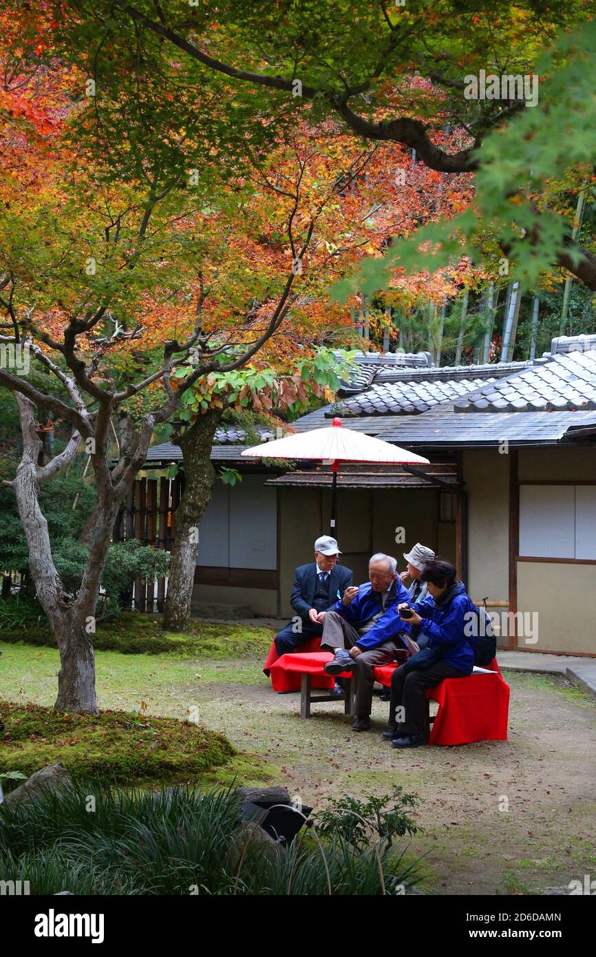 KYOTO, JAPON - 26 NOVEMBRE 2016: Les gens visitent le jardin de thé dans les jardins du temple Kodaiji à Kyoto, Japon. 19.7 millions de touristes étrangers ont visité le Japon en 20 Banque D'Images