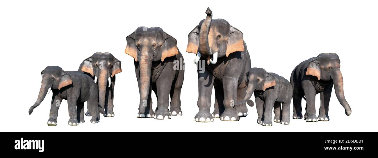 Grand éléphant marron fond blanc isoler Banque D'Images