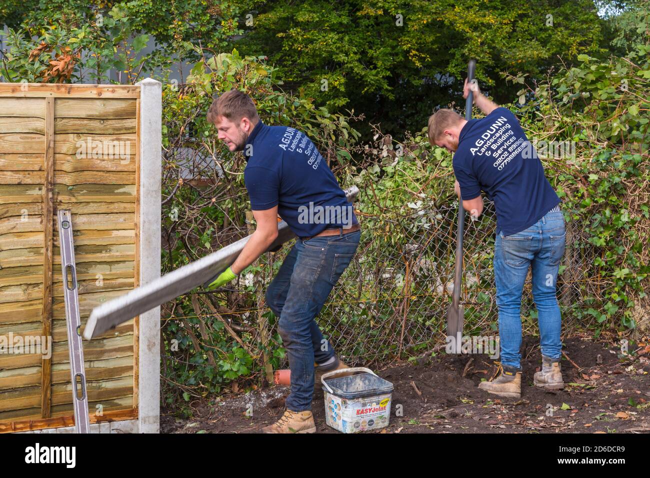 Travaux de déstockage et de rénovation du jardin en octobre à Bournemouth, Dorset, Royaume-Uni - ériger de nouvelles clôtures de clôture Banque D'Images